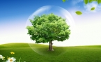 «Всемирный день охраны окружающей среды»